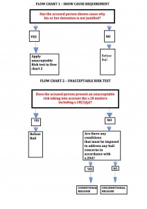 Bail Laws Flow Chart