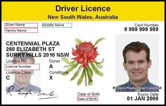 Getting Licence Back After Disqualification - NSW